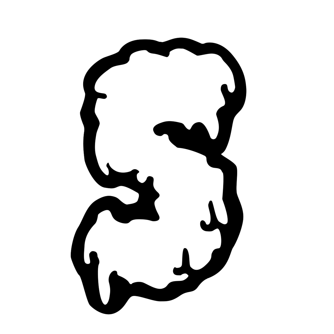 swampedc.com logo